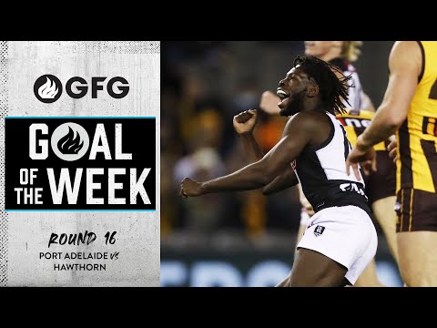 Goal of the Week: Round 16