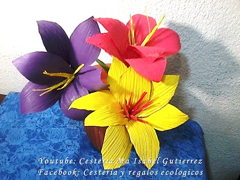 download lagu mp3 mp4 Flores Con Hojas De Maiz Secas, download lagu Flores Con Hojas De Maiz Secas gratis, unduh video klip Flores Con Hojas De Maiz Secas