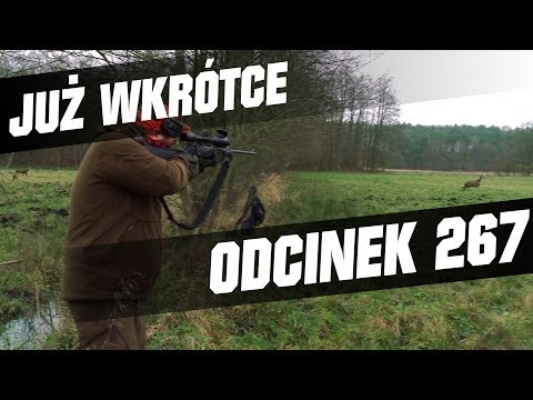 Darz Bór zapowiedz odcinka 267