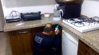 JEL MÜCADELESİ ALO BÖCÜK ANKARA İLAÇLAMA ŞİRKETİ