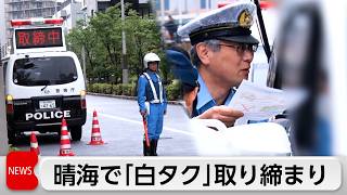 「晴海フラッグ」で訪日客対象の白タク一斉取り締まり