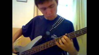 Red hot chili peppers  - Fat dance bass cover