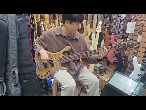 2025 The New ‘Puncher’ Bass Pickup 4strings F/R Set (Narrow/Wide) image 3