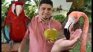 MIAMI TOUR 2017 - PARTE 1 CALLE 8 MIAMI - JUNGLE ISLAND - MIAMI BEACH -H3TV-