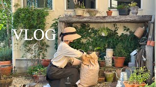 美しい秋の日常vlog🌾ガーデニングのはじまりと大阪・神戸trip