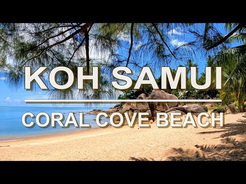 Dream beach - Breathtaking bay - Coral Cove - Koh Samui - Snorkeling - Island - Thailand, 4K