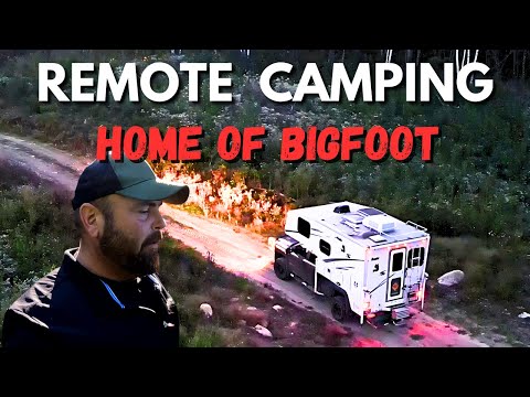 Remote Campsite Known for Bigfoot Sighting in Minnesota