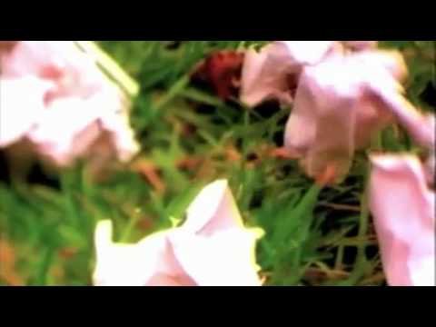 Marcel Romanoff  Tears on my pillow HD