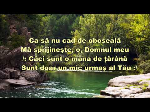 PRIVESTE O DOAMNE LA MINE - NEGATIV CRESTIN