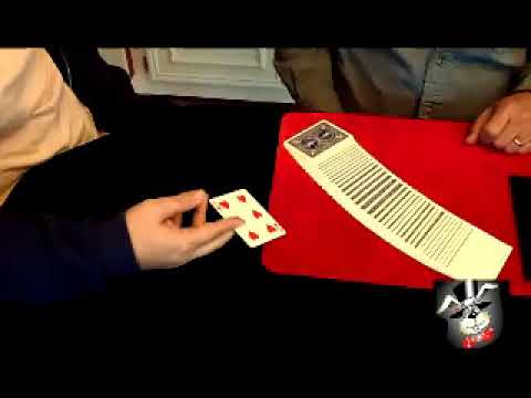 Himber Wallet Vinyl Jacket Size  -  Madhatter Magic Shop