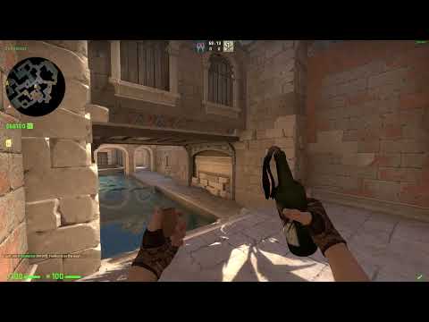 CSGO Anubis Glitched Molotov