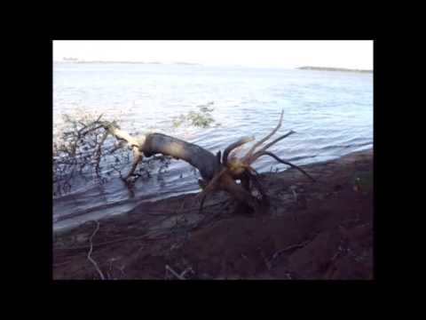 PNIDE Corrientes: El trabajo del Río Cortos Documental