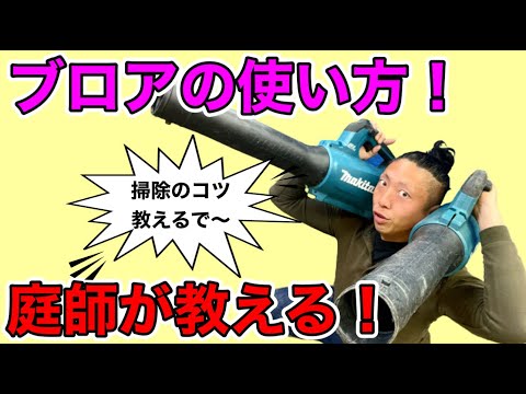 庭掃除に最適な道具は何ですか？リーフシュレッダーバキュームまたはリーフブロワー  庭園