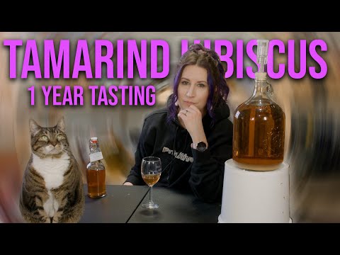 Tamarind Hibiscus Cinnamon Orange Mead // 1 Year Tasting