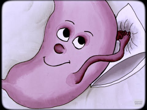 The Stomach, a 1974 sound filmstrip about the digestive system