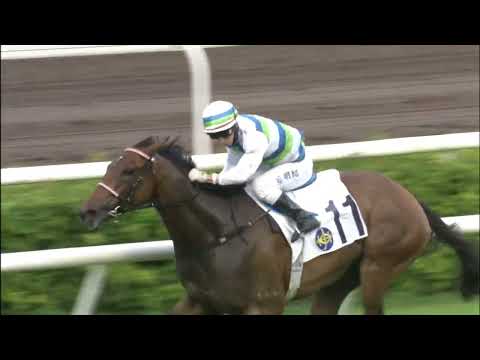 25/6/2022 (779) Voyage Bubble - Matthew Chadwick