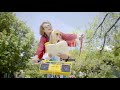 Dayglow - Hot Rod (Official Video)