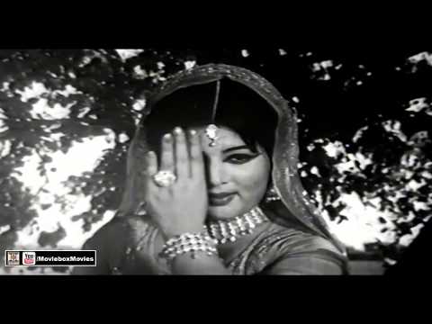 TENU TAKDI NA RAJAAN - NEELO - PAKISTANI FILM AUKHA JATT