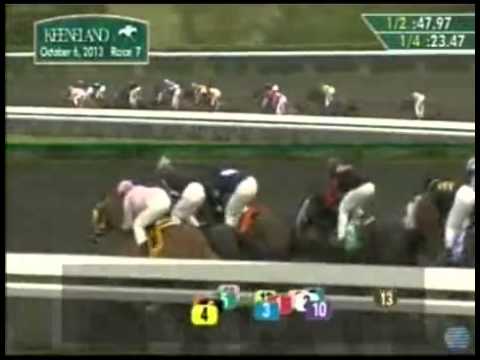 Bourbon S  (Grade III) 2013