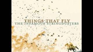 All The Same - The Infamous Stringdusters