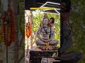 Explore Mahadev Mahakaal Holi Holispecial Bholenath Trendingshorts Trendingvideo