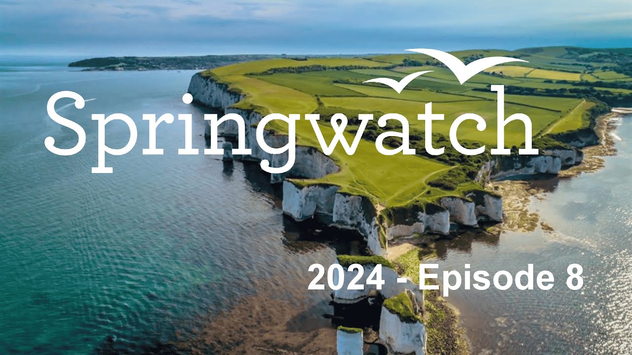 Springwatch 2024   Episode 8