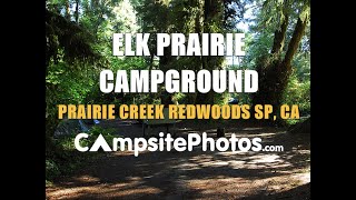 Elk Prairie Campground, Prairie Creek Redwoods State Park, California