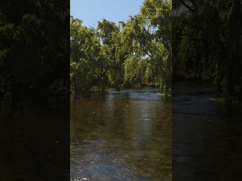 Balneario Almafuerte, Cordoba! hermoso lugar para pasar todo el dia! #shorts #shortvideo