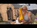 Unboxing Hunter Boots Latex Gear