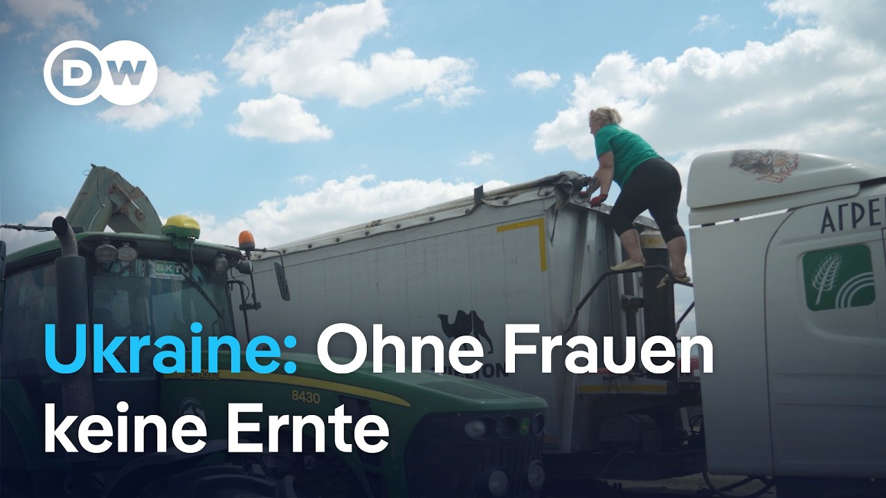 Ukraine: Die Männer sind im Krieg - Frauen und KI sichern die Ernte