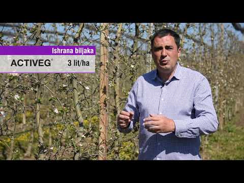 Galenika Fitofarmacija - ZAŠTITE voćne zasade u PRAVO VREME