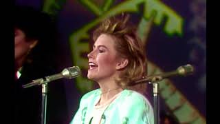 Flans │ Bazar (HD)