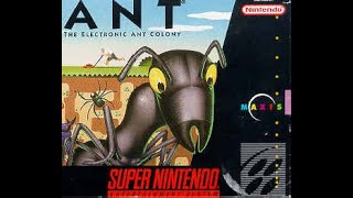 Ants in SIM City for the Super Nintendo?