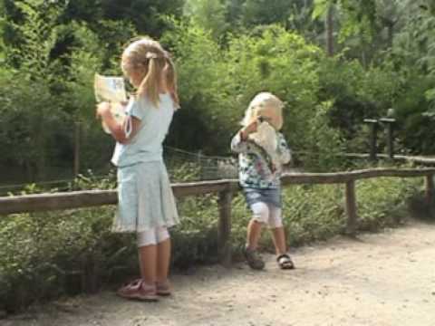 Jitka en Hannah zoeken de weg naar de stokstaartjes in ZooParc Overloon