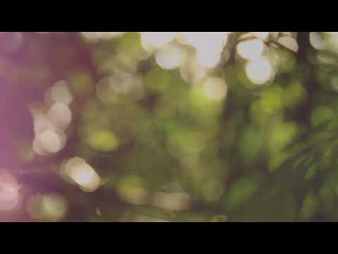 Erik Jonasson - Those Words