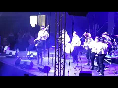 Slavonski trubači - TAMAN JE (uživo)