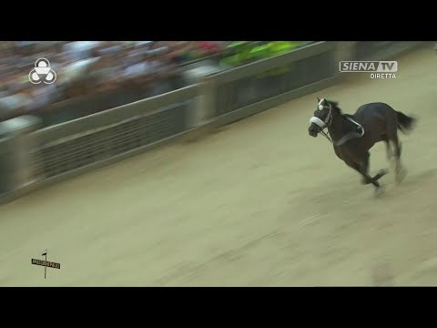 PALIO 16 AUGUST 2023 OCA