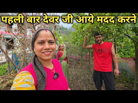 सासू जी की साड़ियों से कर दी किचन गार्डन में बाड़☺️|| Pahadi Lifestyle Vlog || Priyanka Yogi Tiwari ||