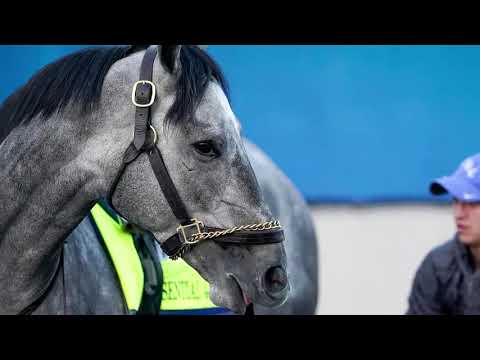 Essential Quality early Kentucky Derby favorite