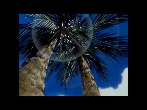 download lagu mp3 mp4 Welcome Summer, download lagu Welcome Summer gratis, unduh video klip Welcome Summer