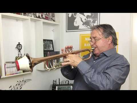 Right Here Waiting @aldinhotrompete interpreta Richard Marx com solo instrumental Trompete surdina