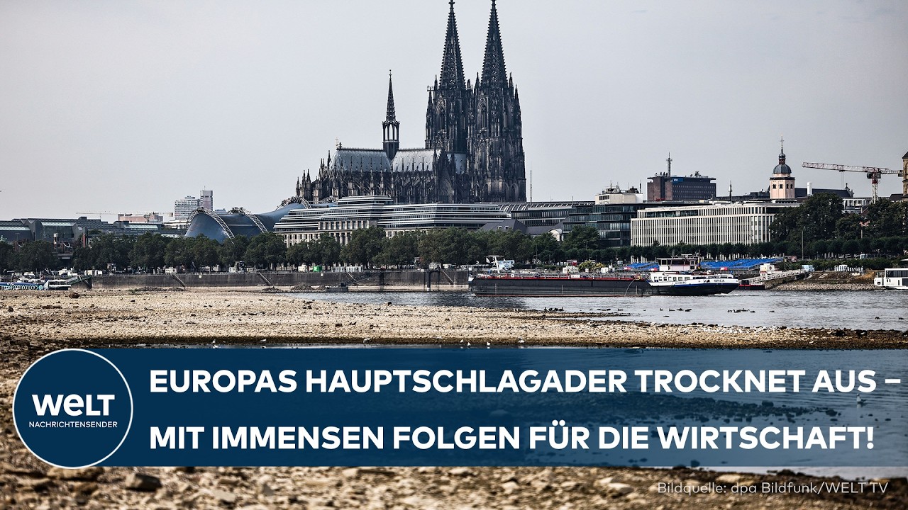 RHEIN-NIEDRIGWASSER: Europas Hauptschlagader trocknet aus! Diese Maßnahmen werden jetzt geprüft