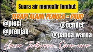 Download lagu Gemericik air sungai, pancingan pleci, panca warna, prenjak, cendet, adalah cara terapi burung macet mp3