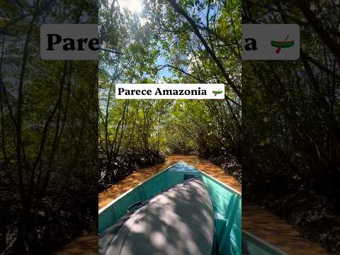 Parece Amazônia, mas é no sul da Bahia