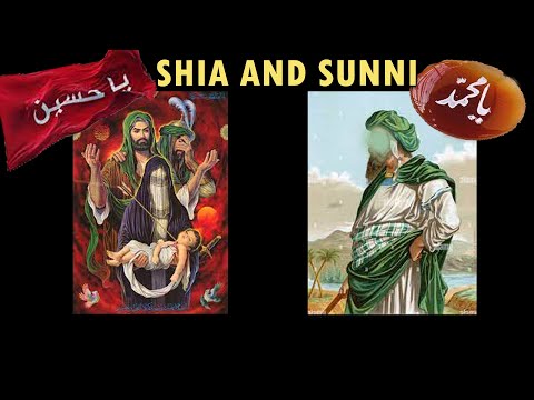 Major Differences of Sunni and Shia Muslims That Cause Problems