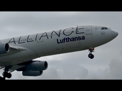 Lufthansa (Star Alliance Livery) A340-313 landing in Manila runway 24 for maintenance