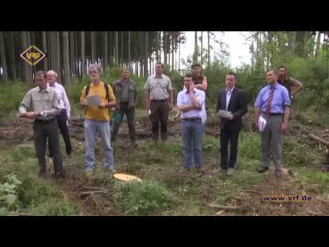 20/15 Plauener Wald vor Inventur