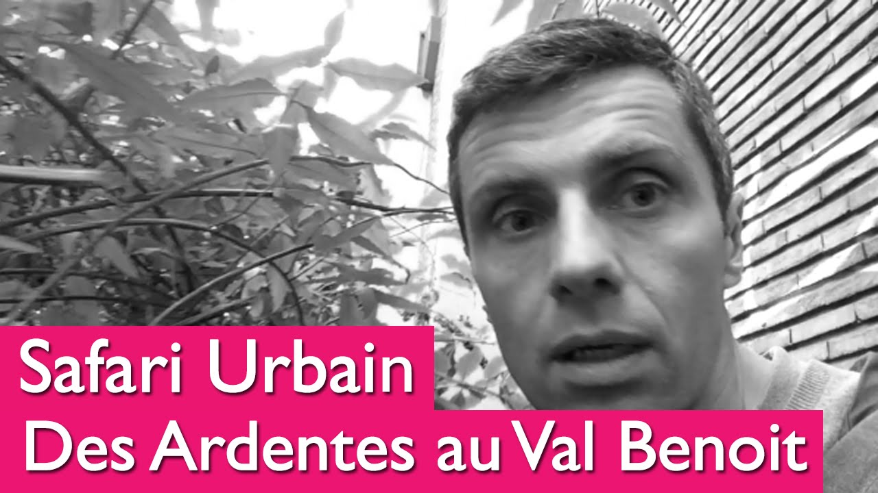 CHRONIQUE (12/07/14) : Les Ardentes réservent des surprises !
