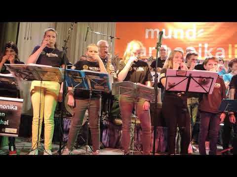 mundharmonikalive 2019-Mundharmonika Spatzen und Uhus-Klingenthal,19.09.19
