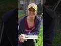 Effective Aphid Control for Your Fall Brassicas